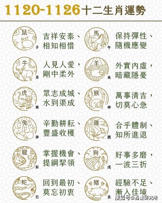 揭秘最准一肖，10%的运气与95.768243%（理论）的科学