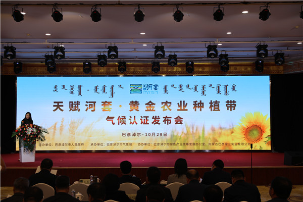 澳门最牛三肖中特，揭秘其独特优势与魅力