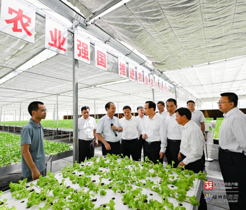 罗源新闻，乡村振兴的绿色篇章