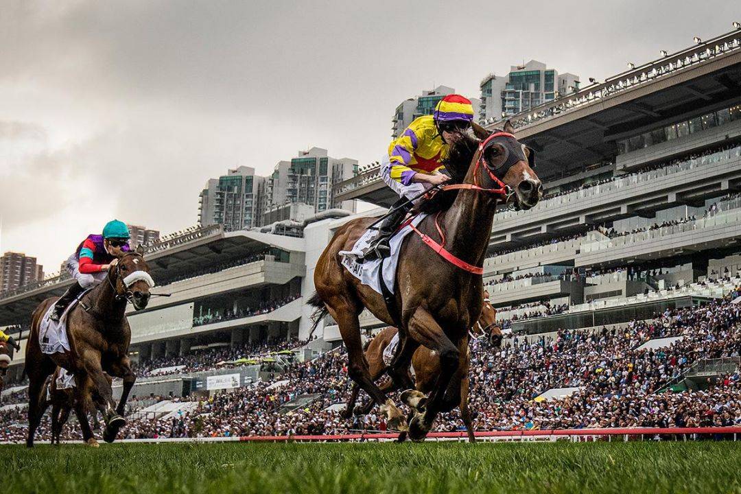 探索香港马会资料，历史、功能与影响