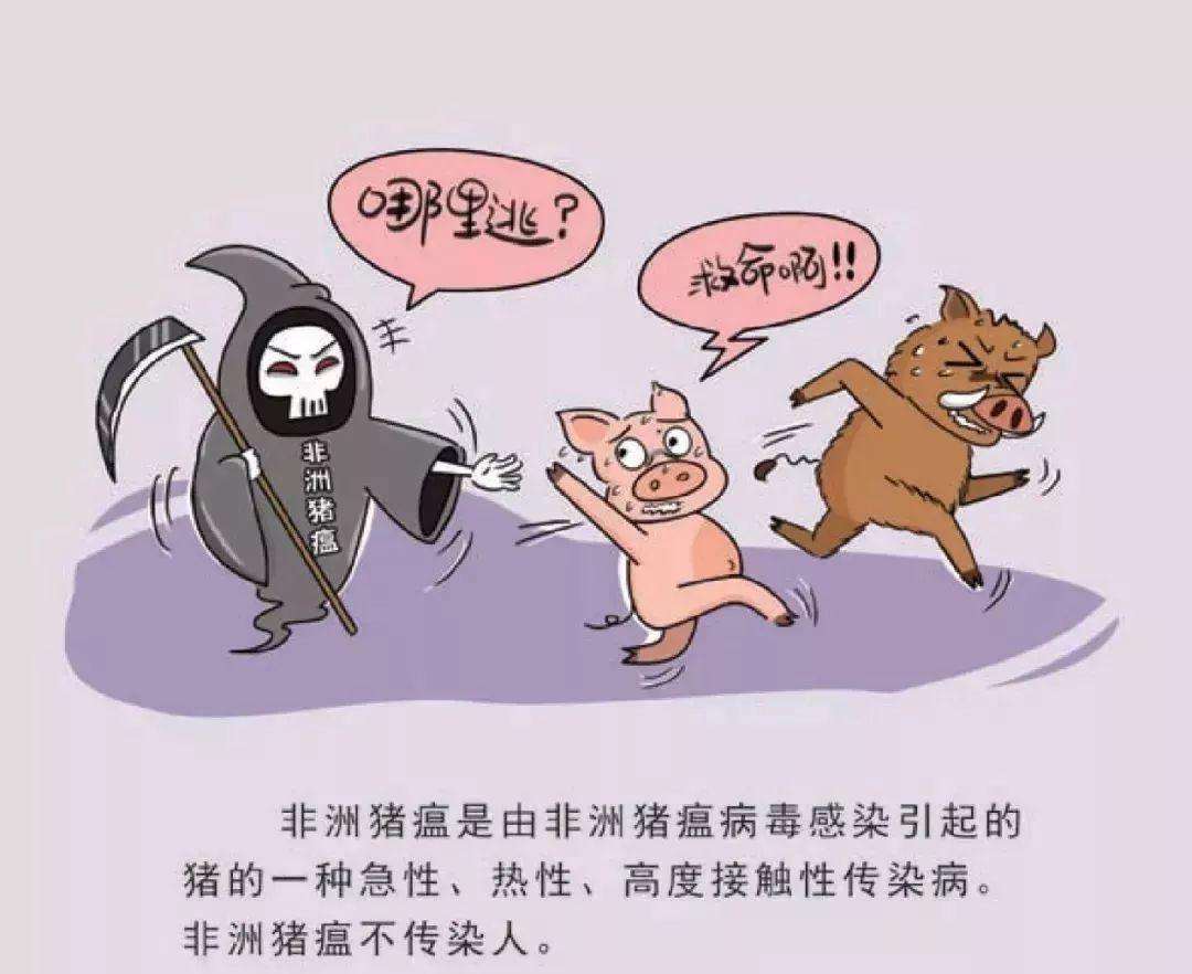 珠海疫情最新消息，防控措施持续升级，生活逐步恢复常态