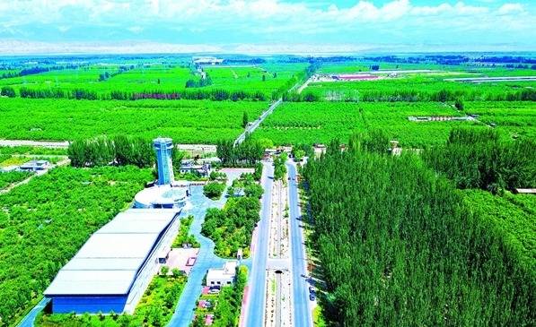 澳门2035年精准资料大全，探索未来之城的脉动与机遇