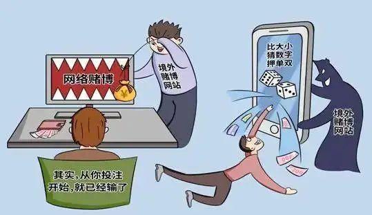 2019六开彩，一场数字游戏中的幸运与期待