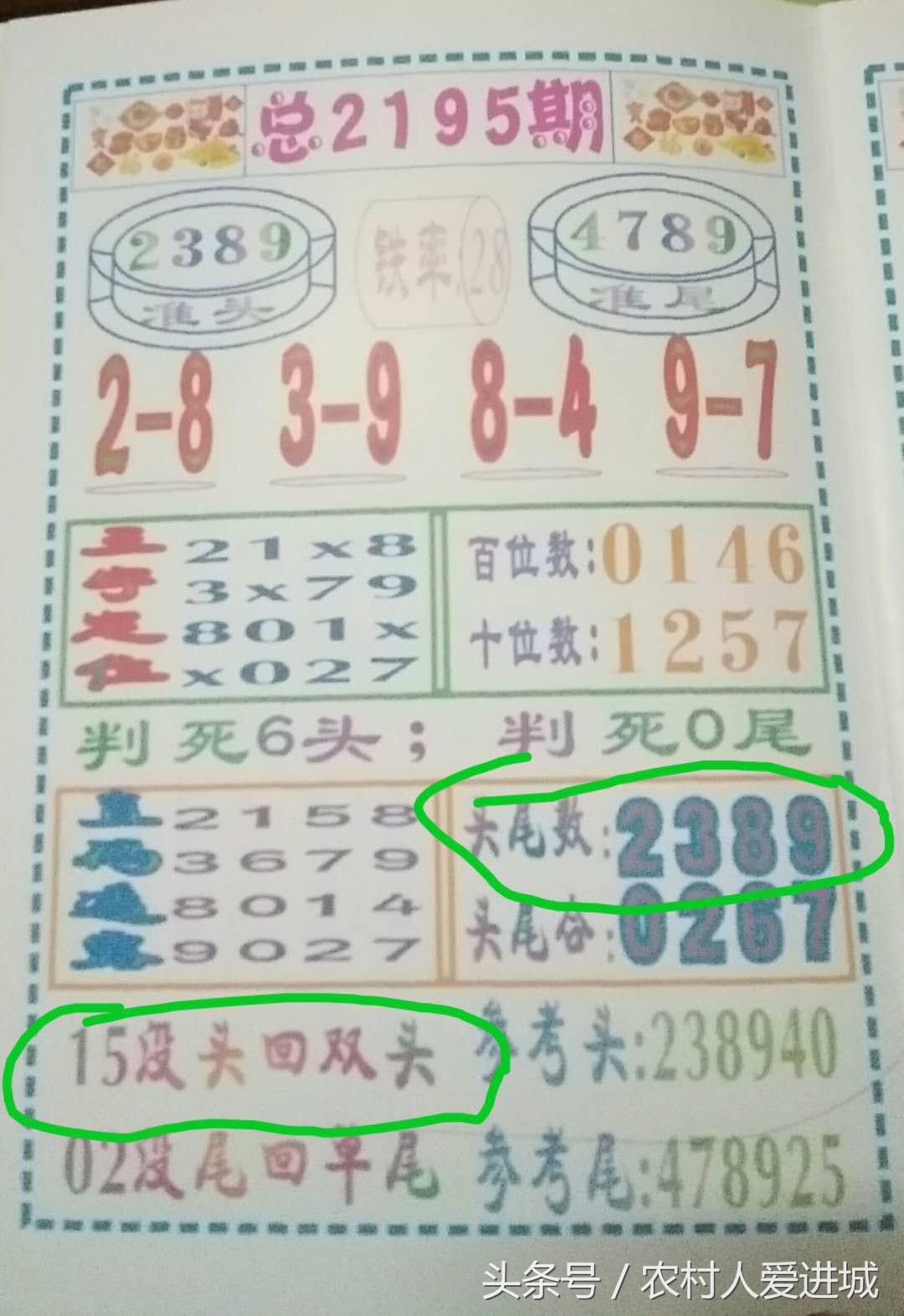 澳门精准资料，期期的精确追踪与每日更新