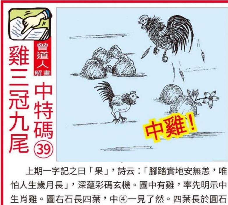 蓝月亮马会精选资料大全，解锁赛马的激情与智慧