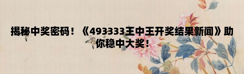 揭秘王中王的秘密，49327背后的真相与思考