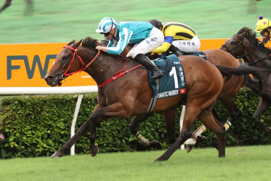 2019香港马会资料大全免费，探索赛马的魅力与文化