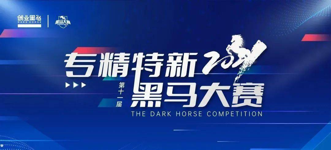 今日特马揭秘，探寻幸运的奥秘