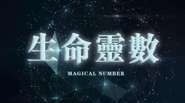 探索新奥天天免费资料单双中的奥秘，一场数字与策略的较量