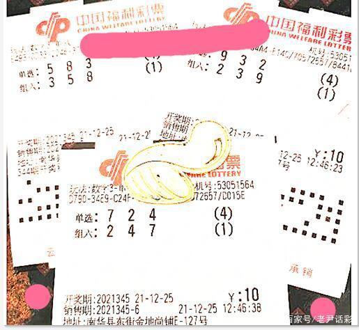 澳门今晚特马揭秘，理性购彩，乐在其中！——一场数字游戏的魅力与风险并存之旅