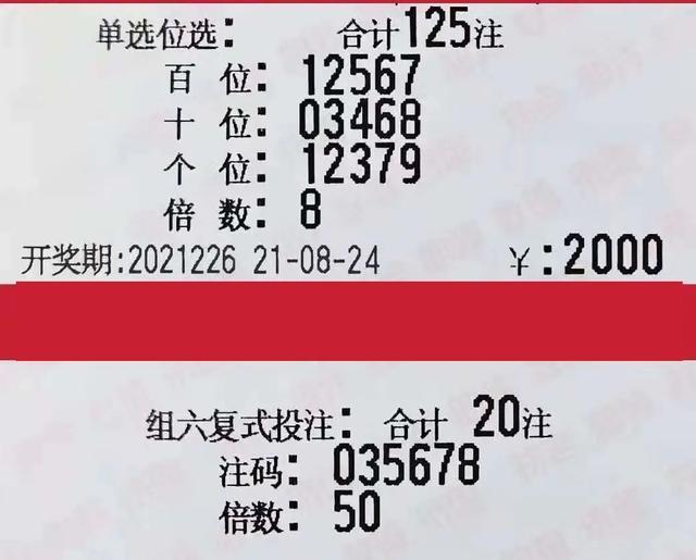 204年新澳门开奖结果查询，揭秘未来彩票的数字游戏与理性态度