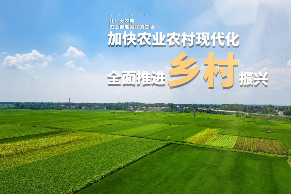 河北12530，数字时代的乡村振兴新引擎