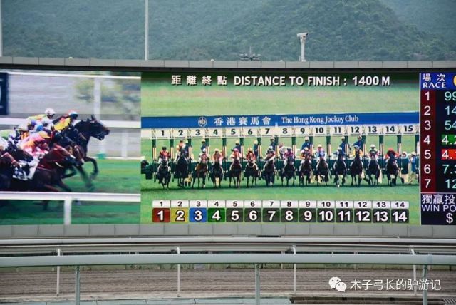 探索香港马会2019，一场精彩纷呈的赛事盛宴