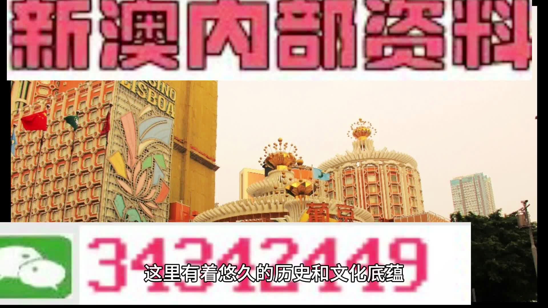 探索新澳门资料大全，203年正版免费下载的全面指南
