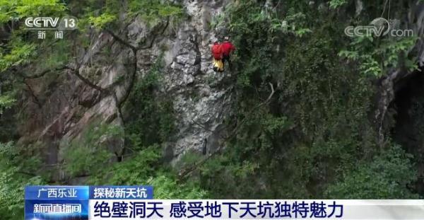 探秘神鹰权威论坛，网络时代的思想碰撞与智慧交流
