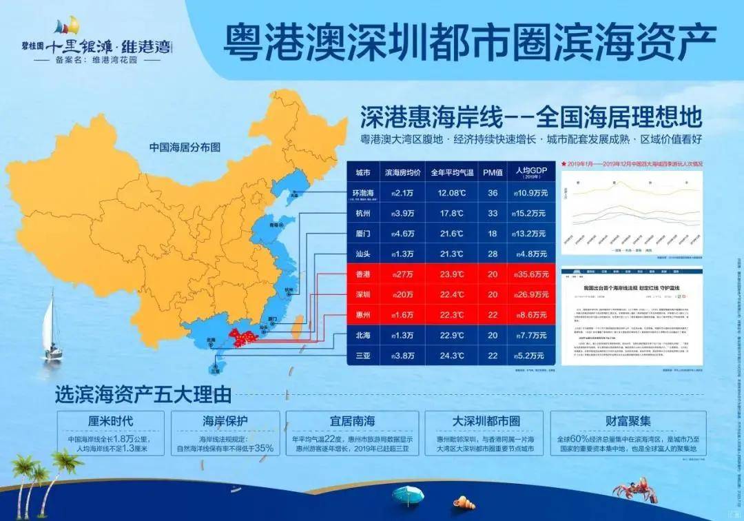 探索未来，新澳门资料大全204正版资料的深度解析与前瞻