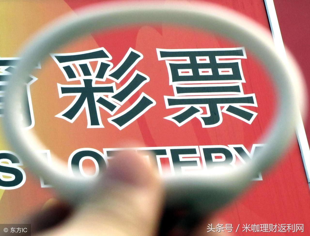 今晚特马号，揭秘彩票背后的故事与理性思考