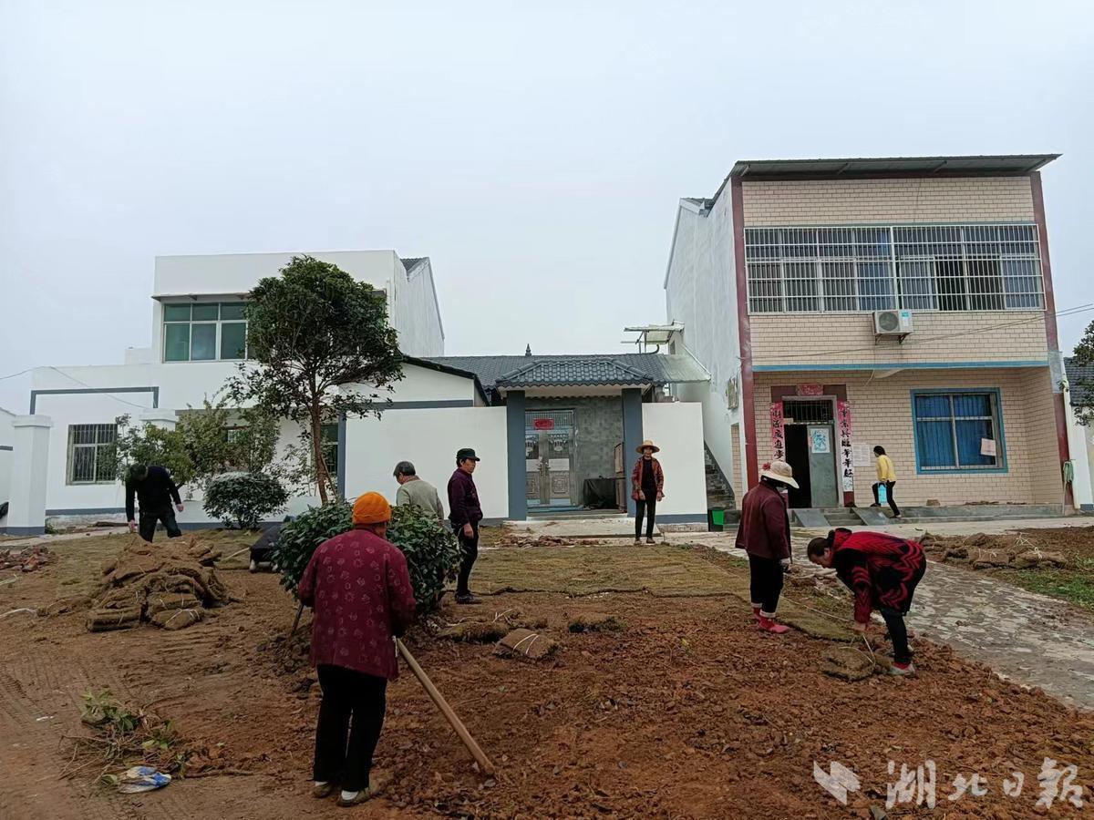 探索C527.com——一个集创意、学习与交流的在线平台