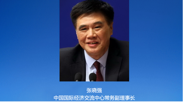探索新天下华人娱乐论坛，网络时代的文化交流与共享