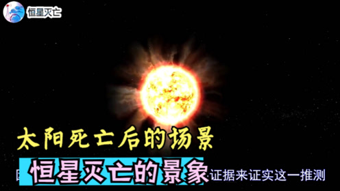 探索红太阳心水的奥秘，一场心灵与智慧的盛宴
