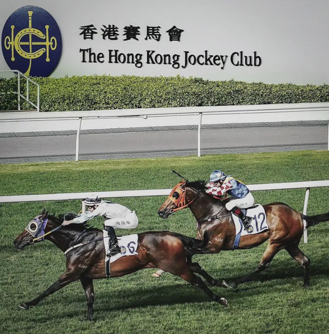 探索香港马会网站，一站式赛马的精彩与魅力