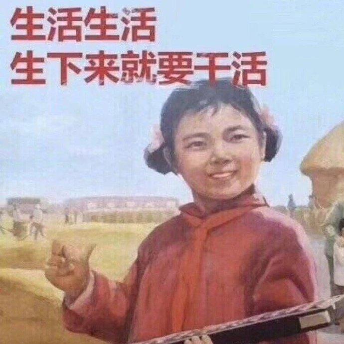探索一公斤网赚论坛，网络创业的智慧宝库