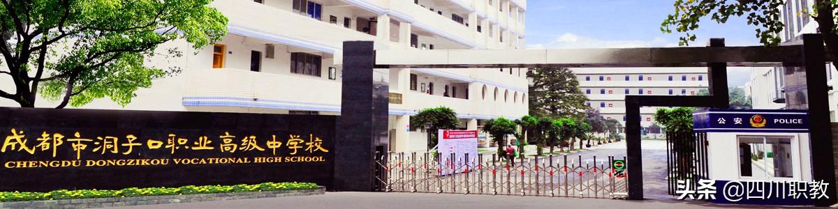 2019年六下资料，揭秘金牛网与数字的奇妙结合