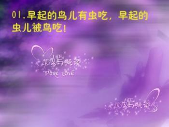草根之声，探秘小草论坛的崛起与影响