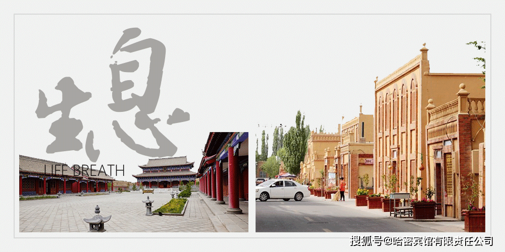 华人城，历史与现代交织的多元文化画卷