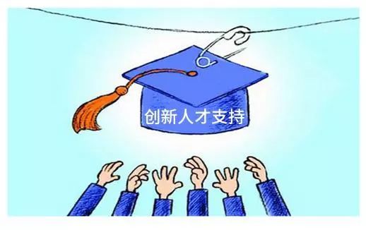 正版四不像，版权保护与市场创新的尴尬平衡