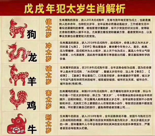 今晚必看，揭秘最准确生肖预测的神秘面纱