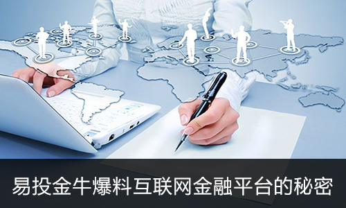 探索金牛网，数字时代的金融新航标