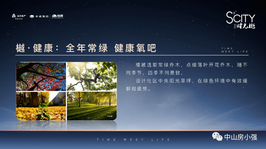 澳门新风貌，全面解析与精准资料大全