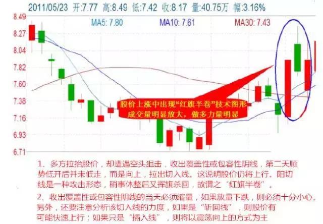 揭秘特马资料，精准预测的背后与理性分析