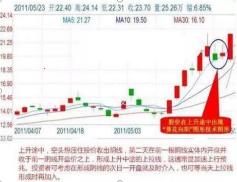 澳门三肖精准预测，揭秘概率与策略的平衡艺术