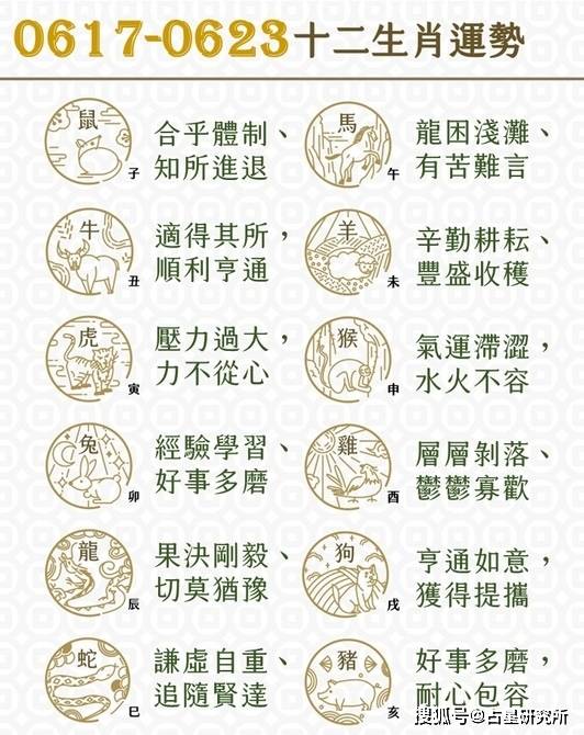 今晚一肖中特，揭秘生肖预测的奥秘与理性思考