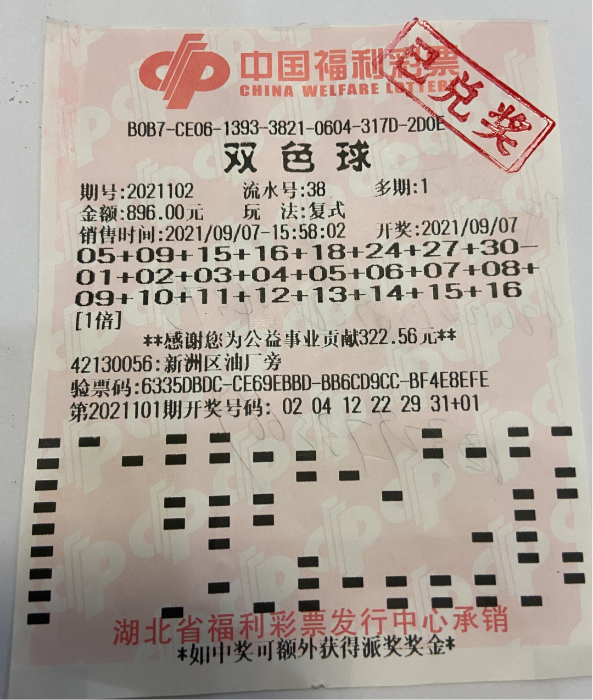 揭秘香港今期开奖号码，彩民的幸运之旅与概率之谜