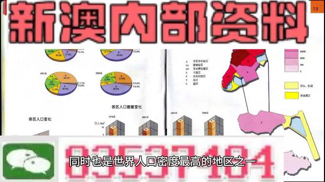 204澳门正版精准资料，揭秘未来趋势与风险