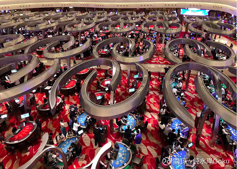 2046年澳门天天开好彩，未来博采文化的展望与挑战