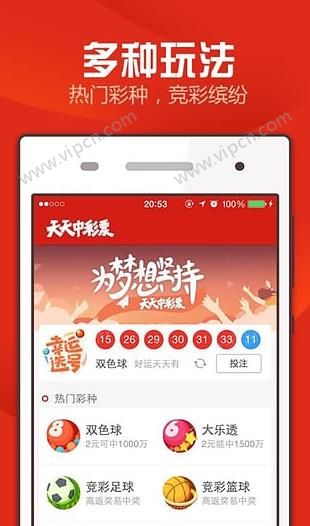 2043新澳门天天开好彩大全，揭秘彩票背后的智慧与策略