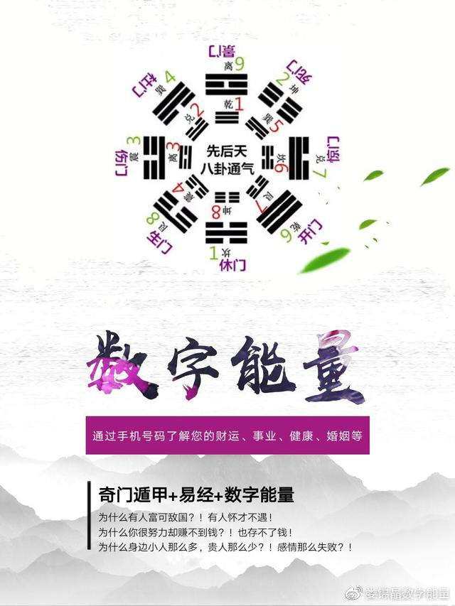 精准预测，揭秘一肖与数字的奇妙结合