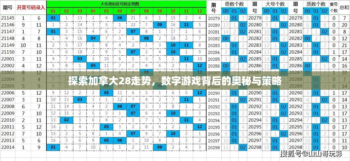 探索2肖3码的奥秘，解锁数字游戏的智慧与策略