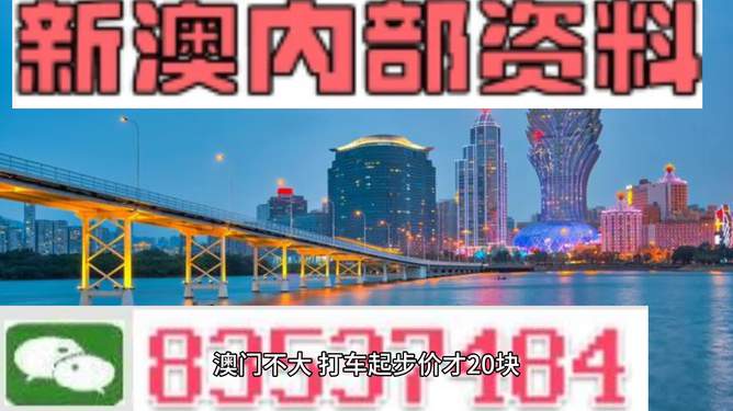 澳门精准一码发财，理性与机遇的平衡艺术
