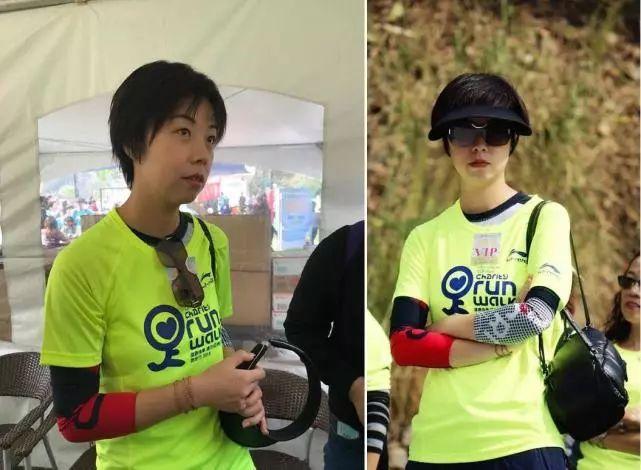 2019年香港马内部免费资料，揭秘赛前准备与策略分析