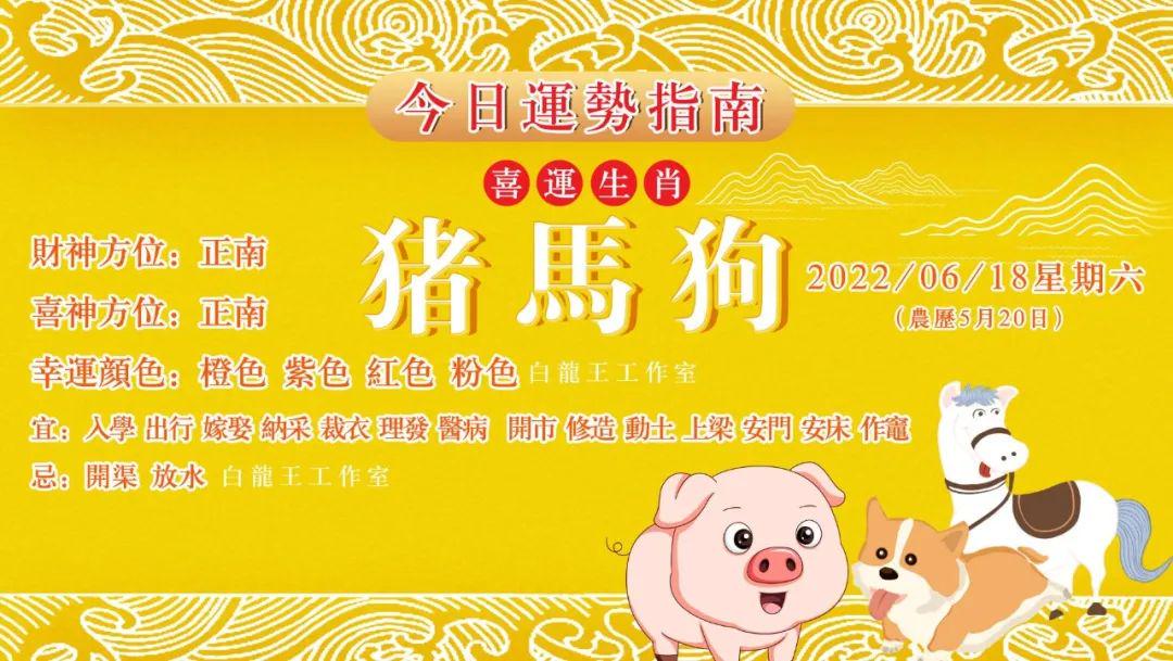 澳门六开彩，生肖卡与每日惊喜的奇妙结合