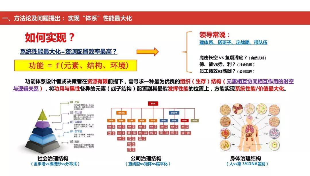探索期四肖选一的奥秘，理性与直觉并存的投注艺术