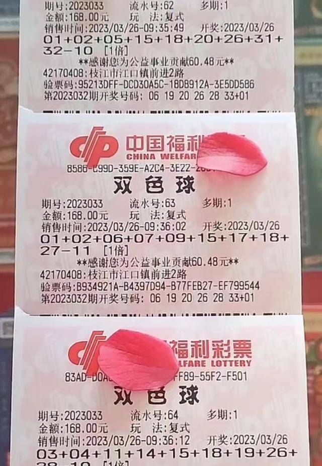 揭秘新澳2046今晚开奖结果，理性看待彩票，享受娱乐生活