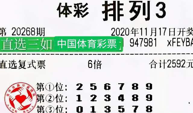 2048年，未来彩票的神秘面纱与理性思考