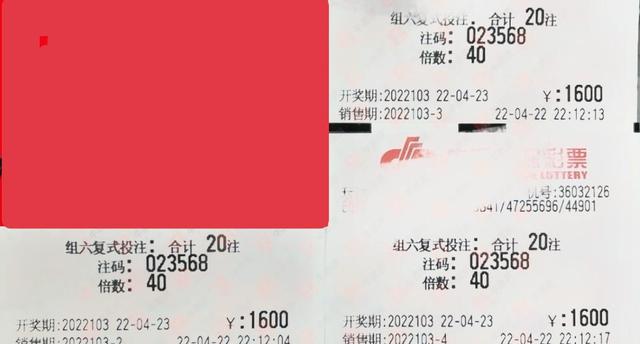 揭秘103期的真相，理性看待彩票与预测