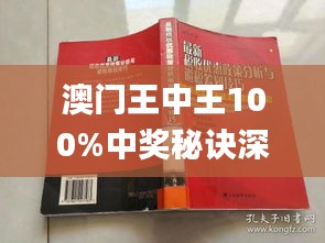 2046年新澳门王中王的传奇与展望